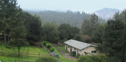 Mt. Home painting barn